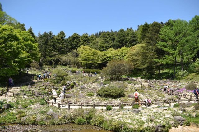 Jardín botánico alpino de Rokko