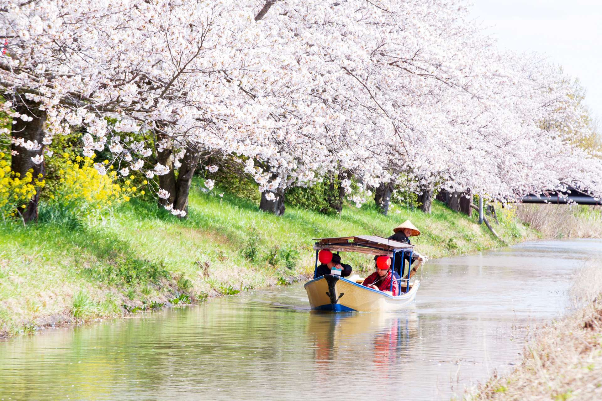 Omihachiman Boat Tour