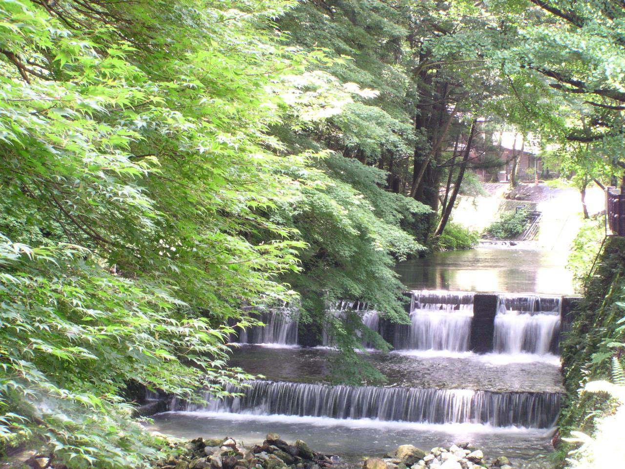 Granja de truchas Samegai de la prefectura de Shiga