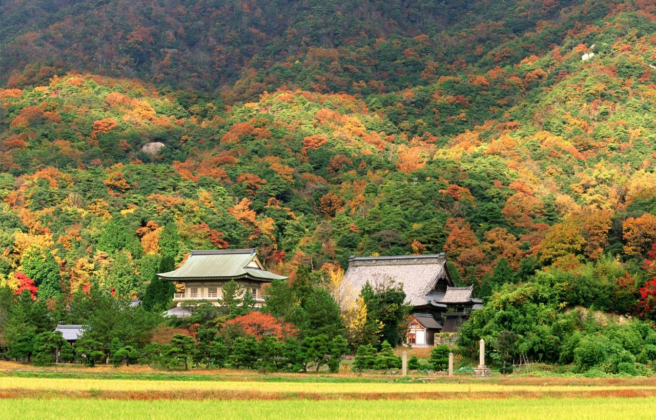 Templo Saifuku-ji