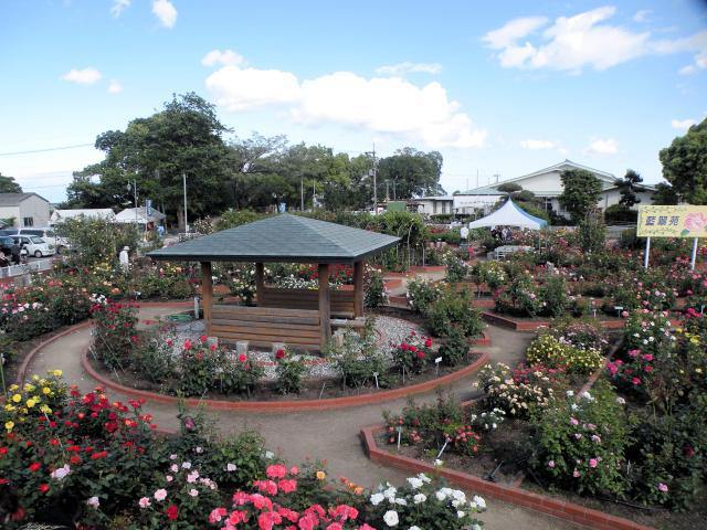 Jardín de rosas de Aizumicho