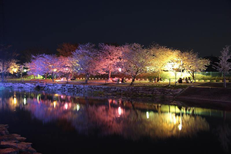 岩脇公園