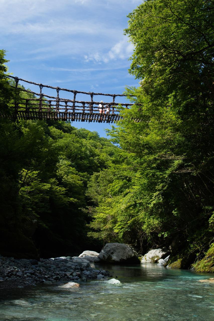 奥祖谷二重かずら橋