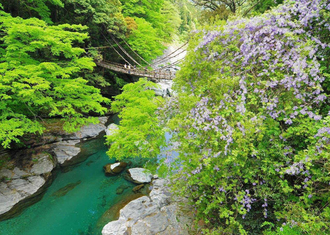 Pont de Kazura à Iya