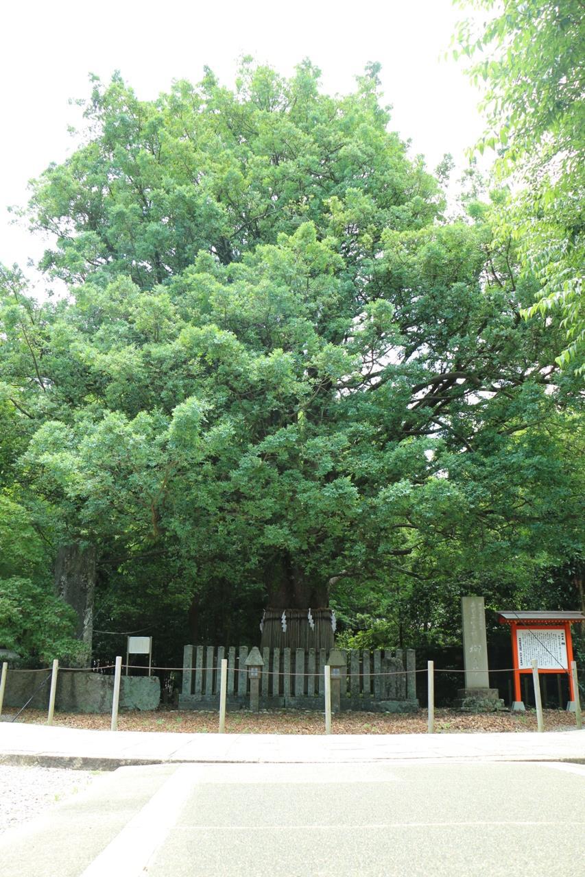 Kumano Hayatama Taisha Shrine