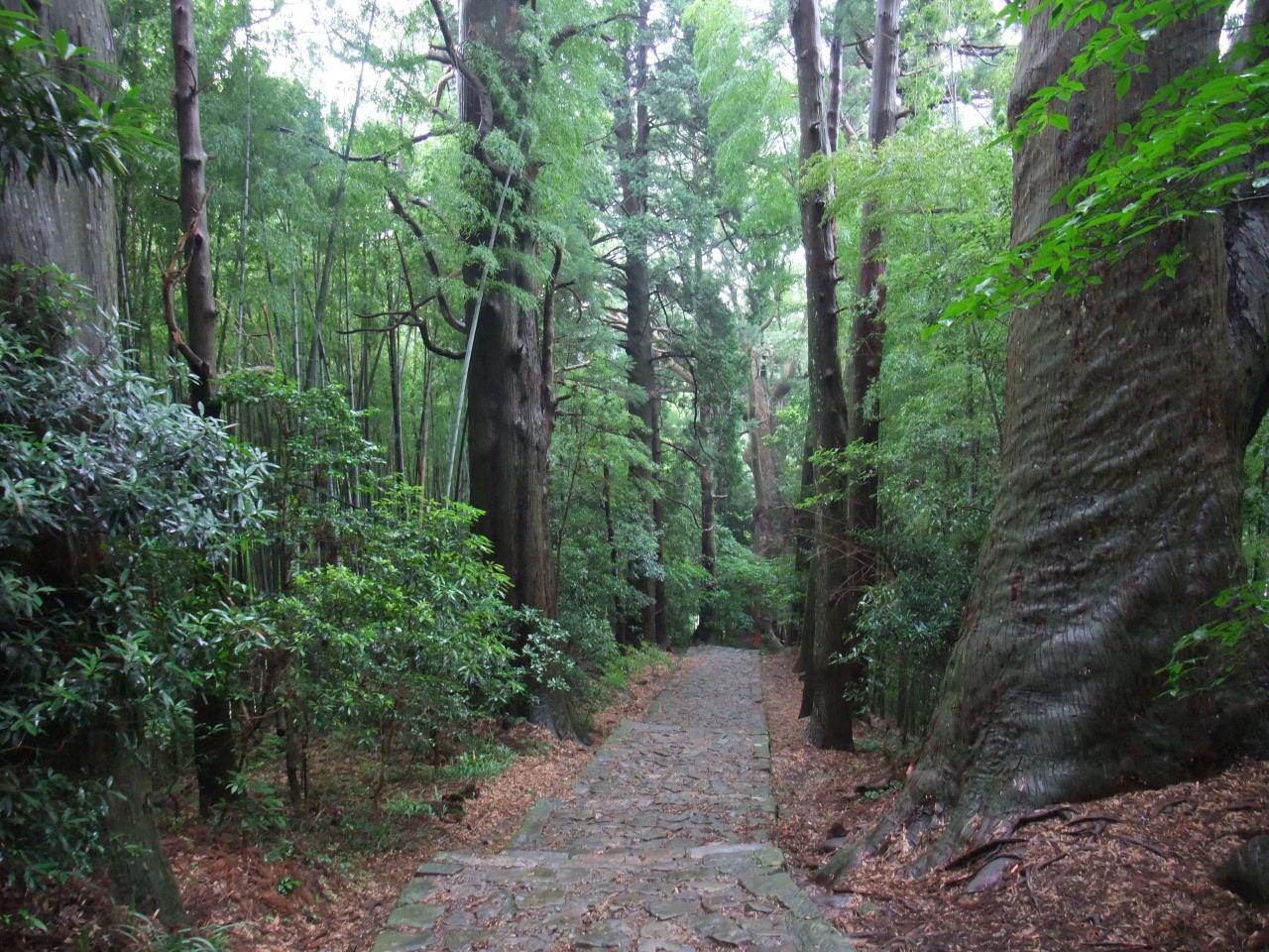 穿著平安時代的服飾漫步那智山/大門坂