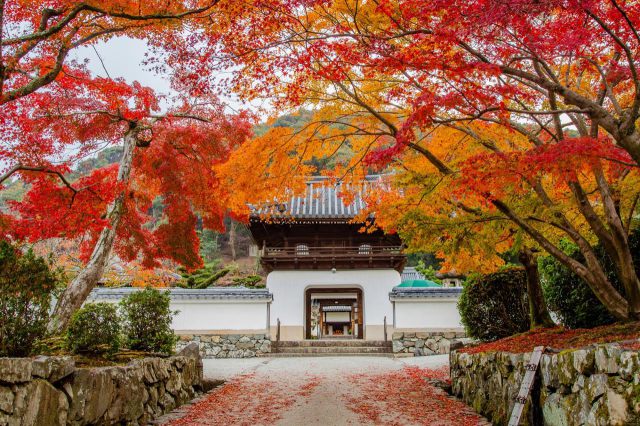 Templo Koshoji