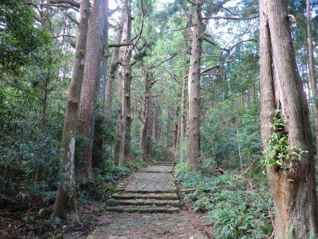 熊野の神聖な土地とその自然景観を体験しましょう! - 熊野古道ハイキング