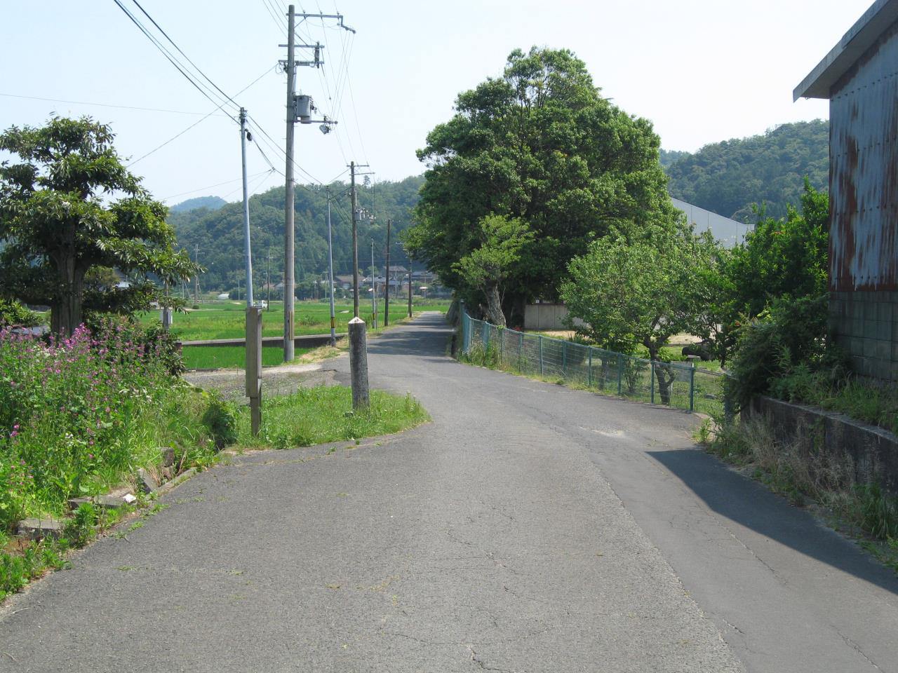 Gomura Fault (Higuchi, Koike, Ikunouchi)