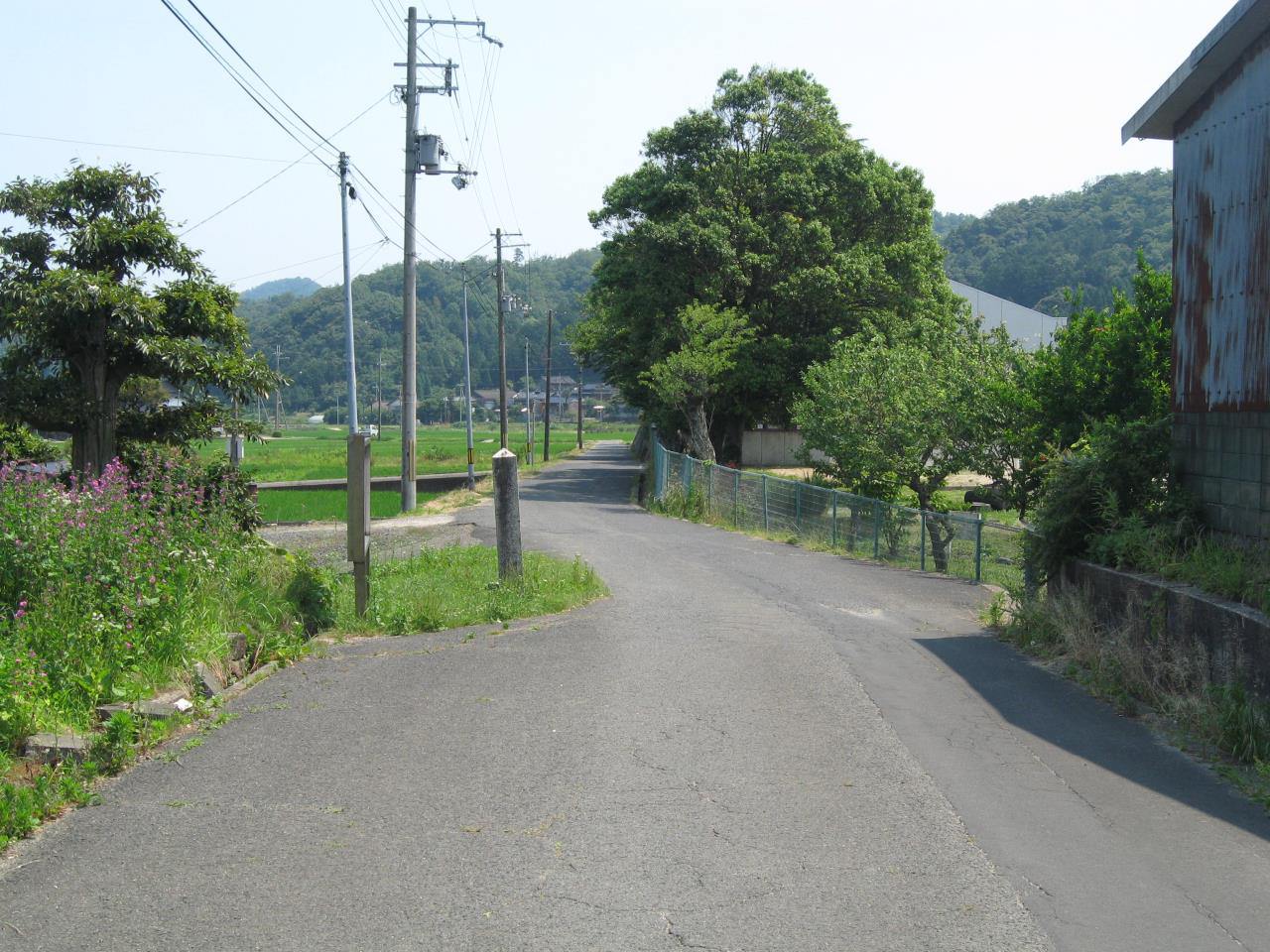 郷村断層(樋口・小池・生野内)