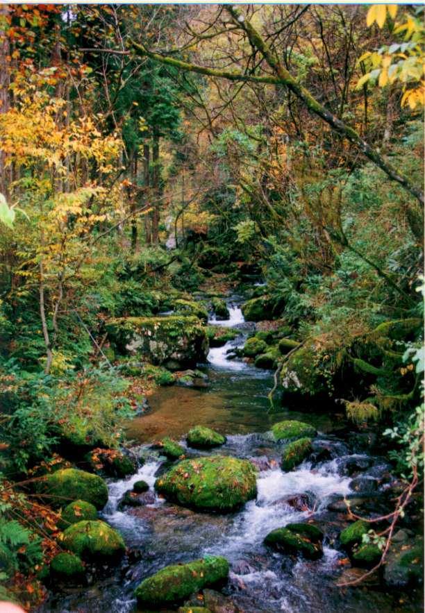 Valle de Yadagawa