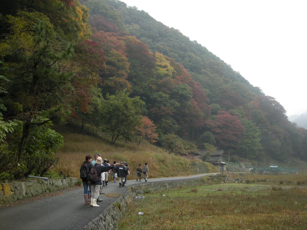 田結湿地