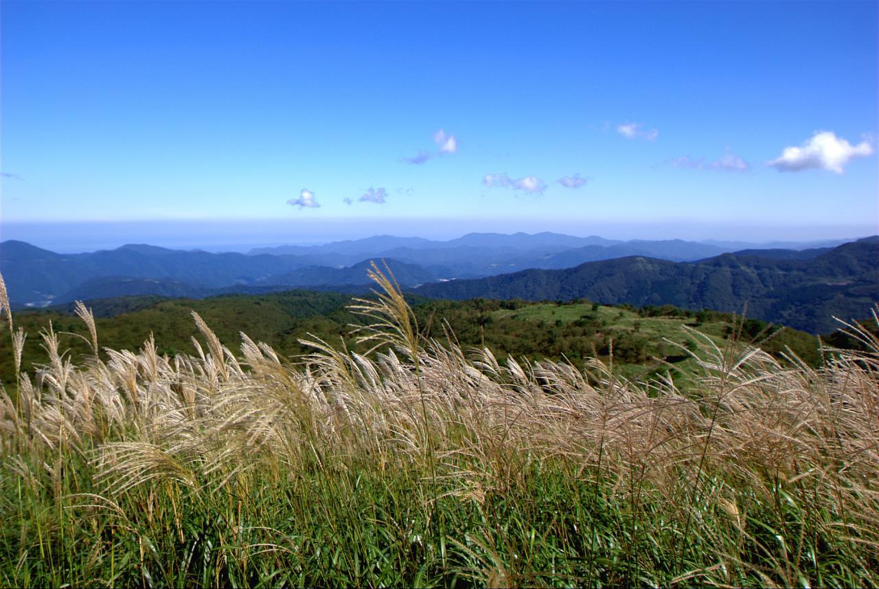 上山高原