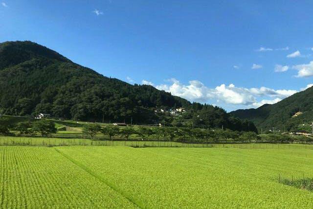 都会の時間と人混みから離れた里山での癒し体験!