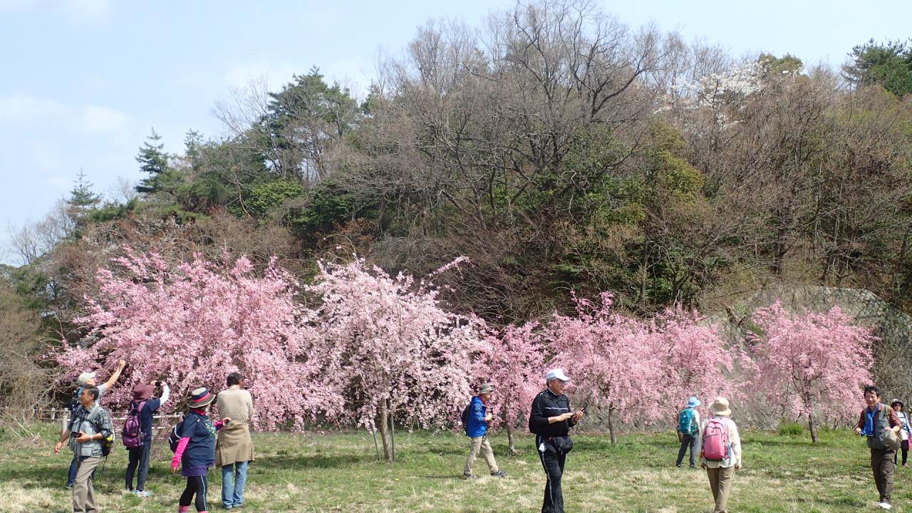 Senderismo en el bosque de Myoken