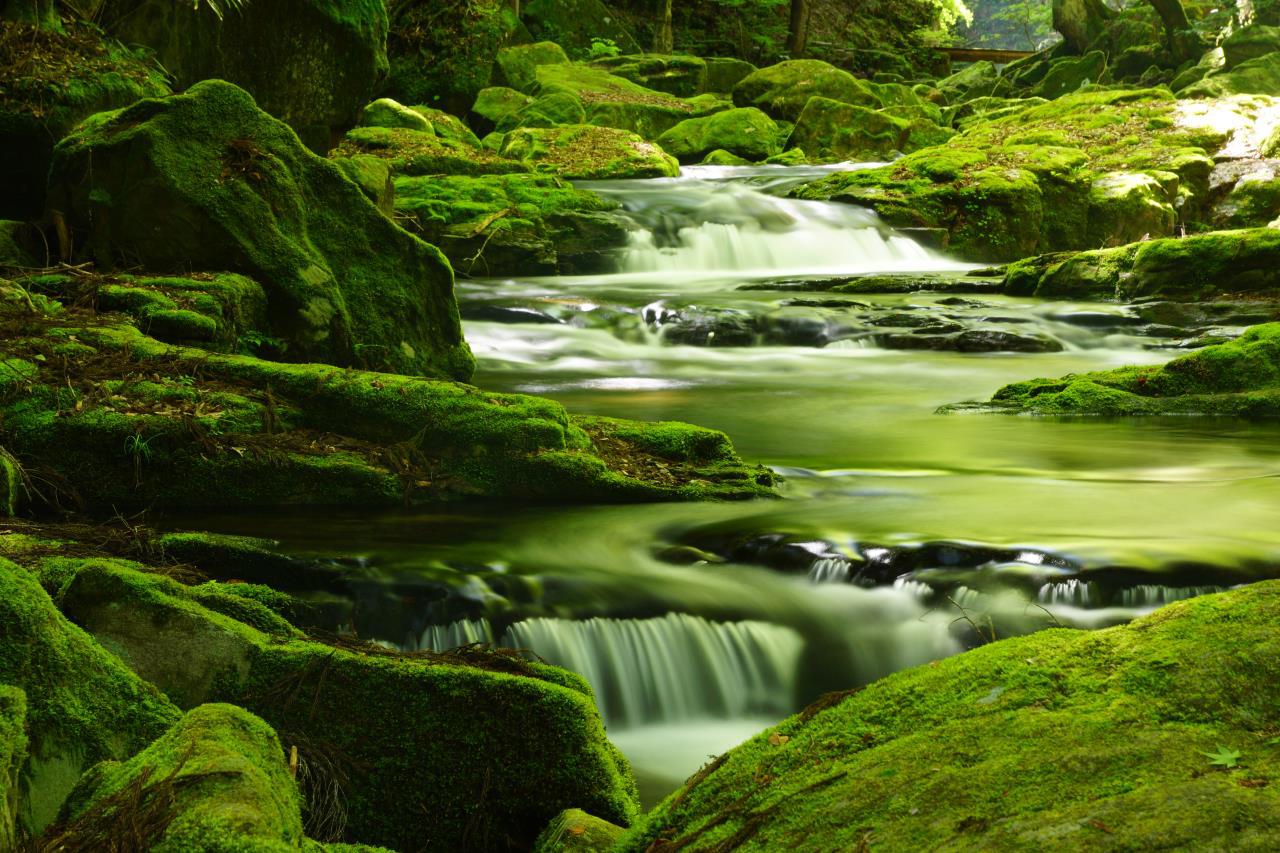 Vallée de la cascade d'Akame Shijuhachi