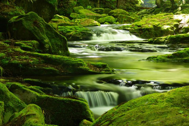 Valle de la cascada de Akame Shijuhachi