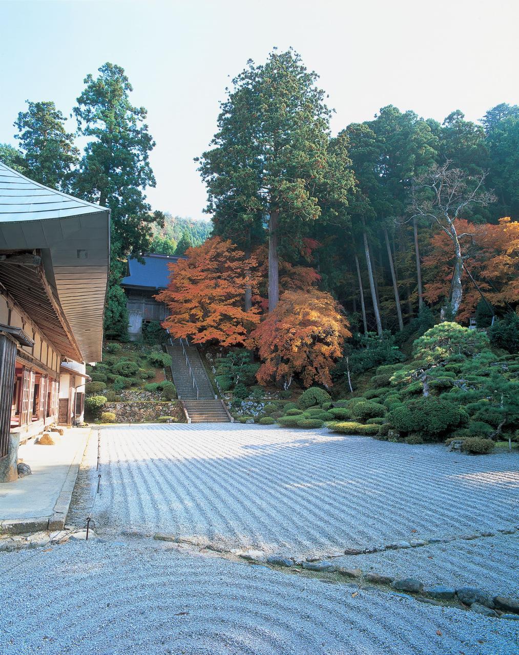 Experience of a Japanese garden full of colored leaves