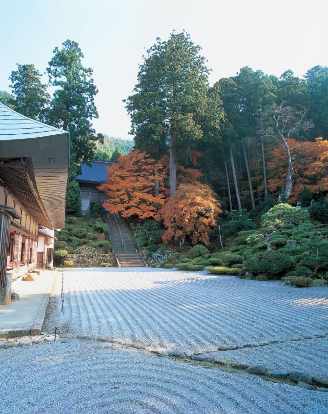 Experiencia de jardín japonés con hojas de otoño