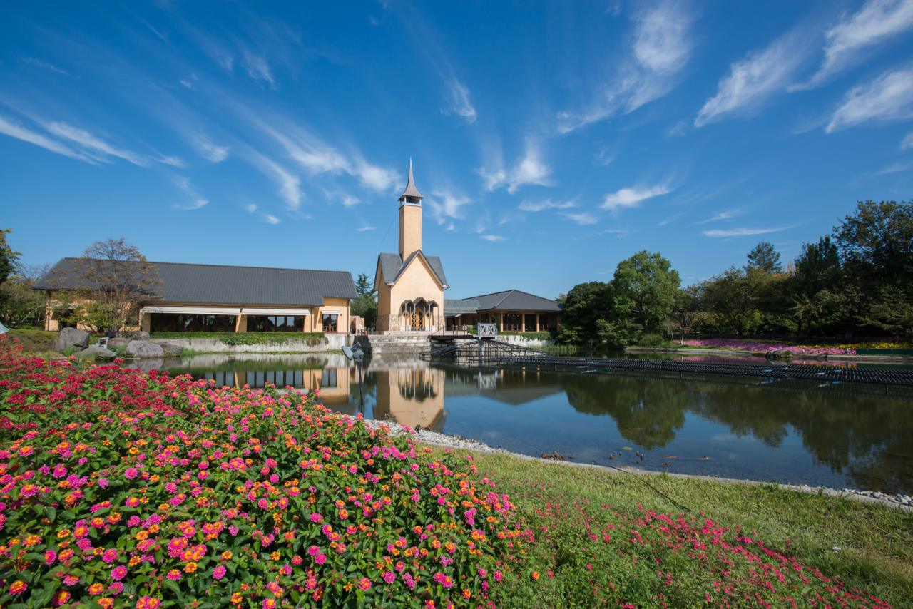 Nabana-no-Sato Flower Park