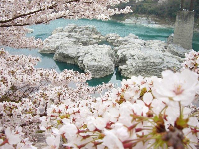 美浓田之渊