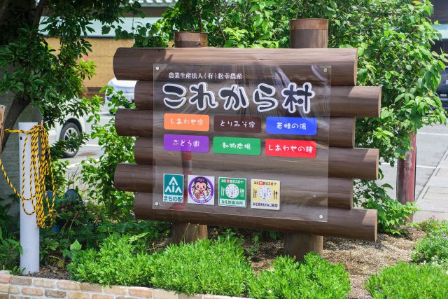 Food, Animals & Foot Bathing: Machi-no-Eki Matsukonosan