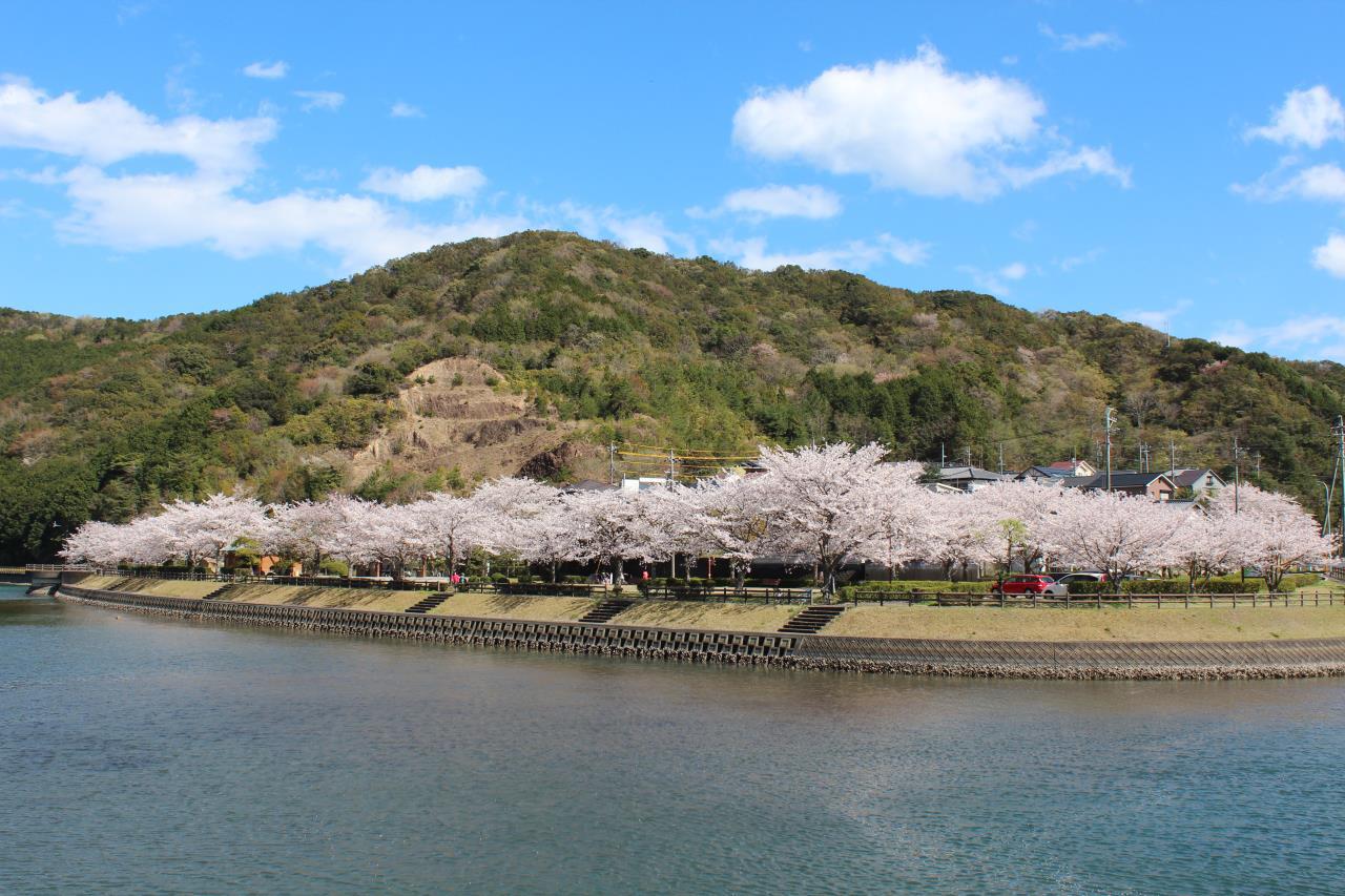 Katakami Pond Park