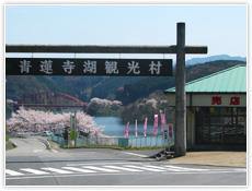 青蓮寺湖旅遊村