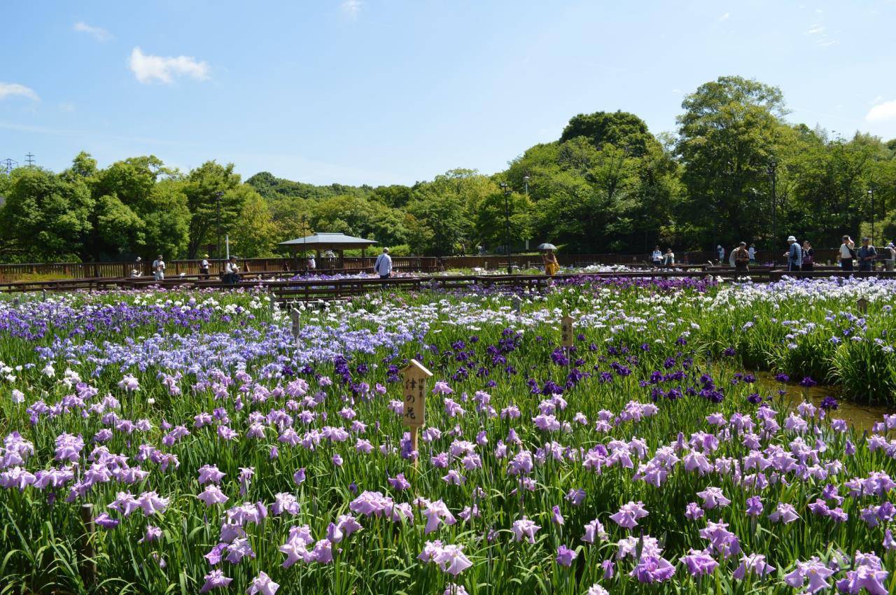 山田池公園