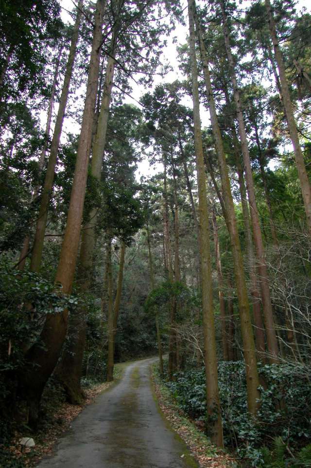 Mt. Hiyori