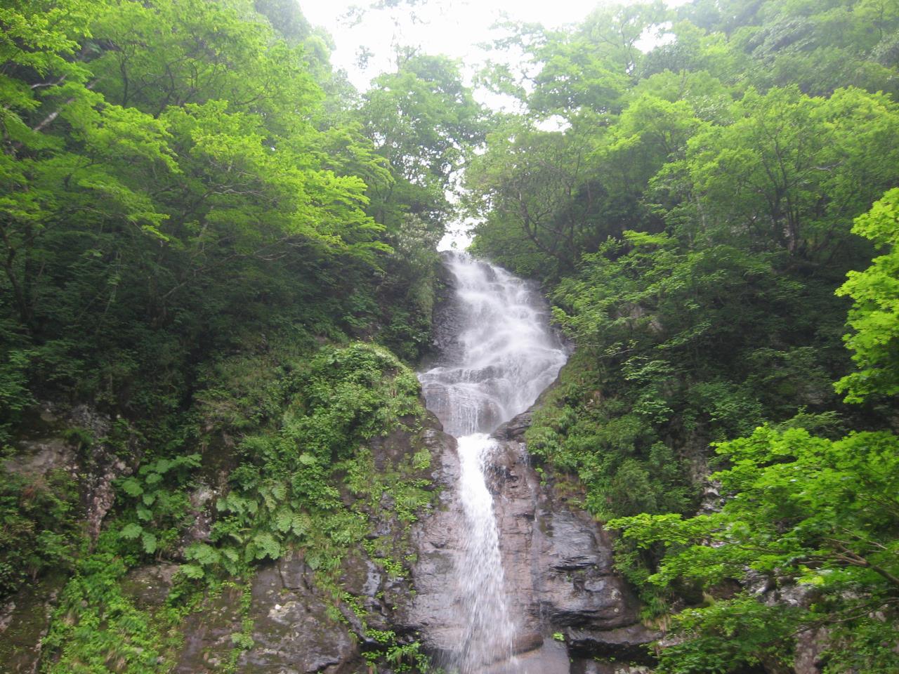 Torokawa River Valley & Torokawataki Falls