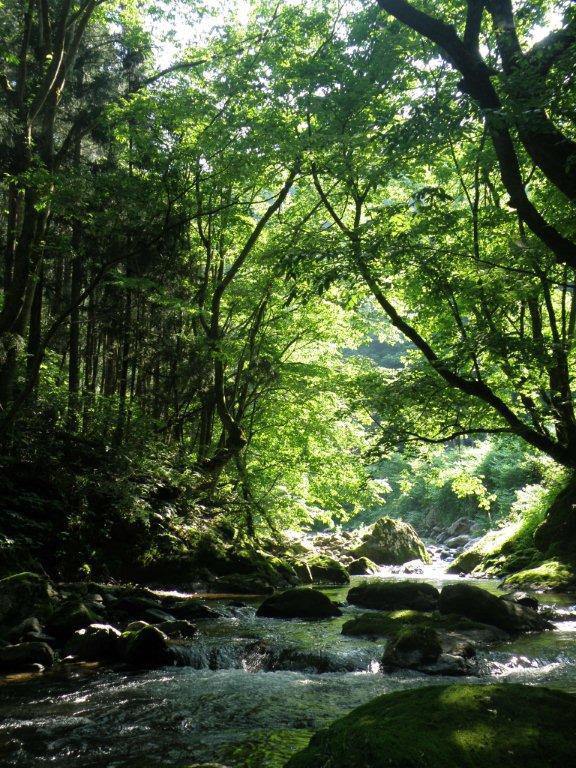 Ojiro River Valley