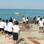 地曳網漁体験4～6月・9～10月の日中に開催