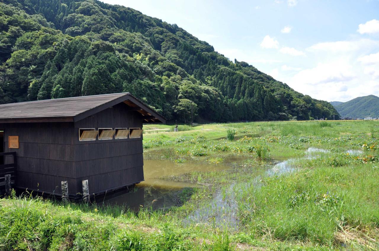 Marais de Toshima