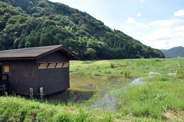 Pantano de Toshima