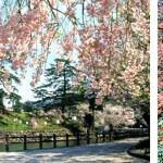 Visita turística al mismo nivel que la ciudad de Shikano dando vueltas con un guía