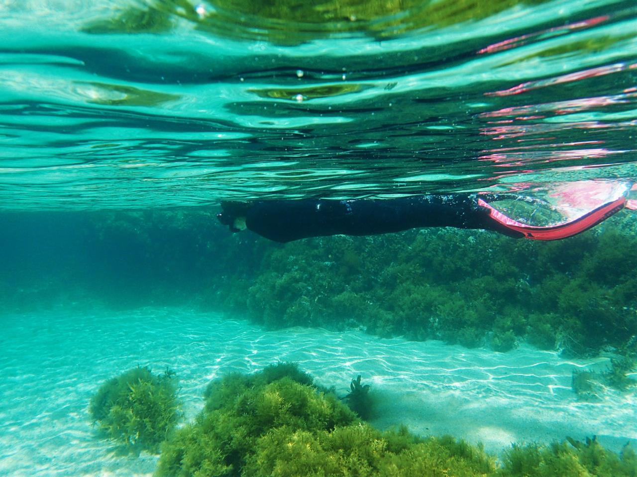 Snorkeling (Centro de intercambio Nagisa de la ciudad de Iwami)