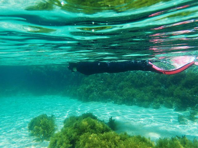 Snorkeling (Iwami Town Exchange Center)