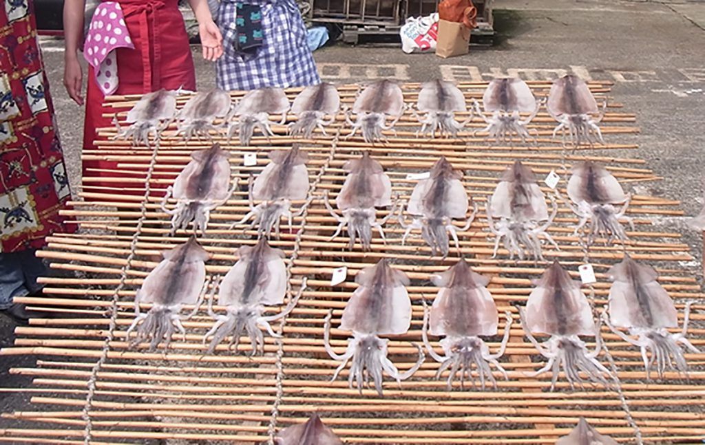 Dried Squid & Fish Preparation