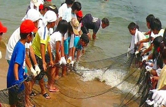 Seine Net Fishing (Higashihama)  The KANSAI Guide - The Origin of