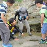 Experiencia de observación alrededor de la península de Nekozaki ¡Busquemos rocas y fósiles de elefantes!