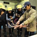 Guided Fishing Port Tour: Cargo Unloading