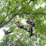 Treeing (Casa de la naturaleza Mikata Kogen de la ciudad de Amagasaki)