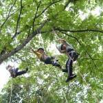 Forest Sport: "Treeing" (Mikata Highland Nature House, City of Amagasaki)