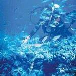 Buceo (370kan)