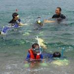 Snorkeling (Servicio de Buceo Kasumi)