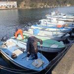 Pêche en bateau, traversier, bateau de pêche récréative