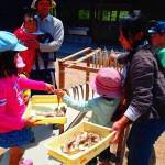 Experiencia en la elaboración de pescado seco.