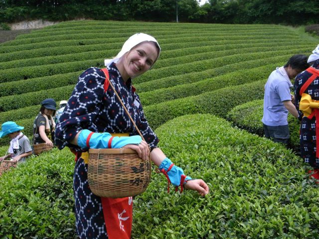 Un recorrido práctico que incluye degustación de té japonés en el área de producción del fragante té Uji -Kyoto Obubu Tea Garden