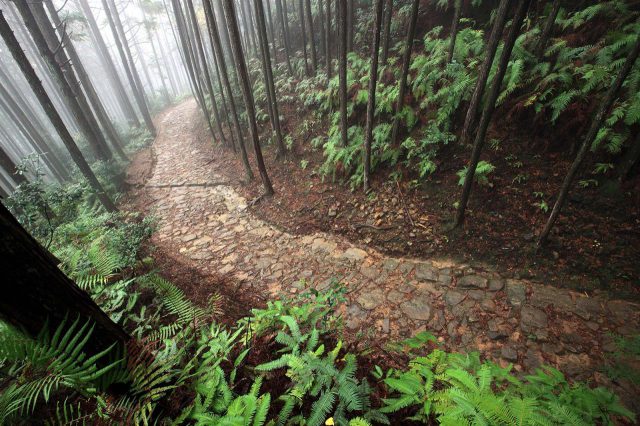 Facilitating tours in "Kumano," a World Heritage Site in the mystical Kii Mountains - Tanabe City Kumano Tourism Bureau